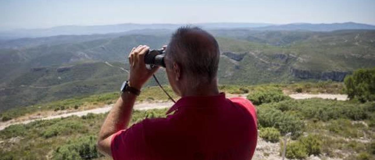 Medio Ambiente refuerza a Vaersa para evitar &quot;agujeros negros&quot; en vigilancia forestal