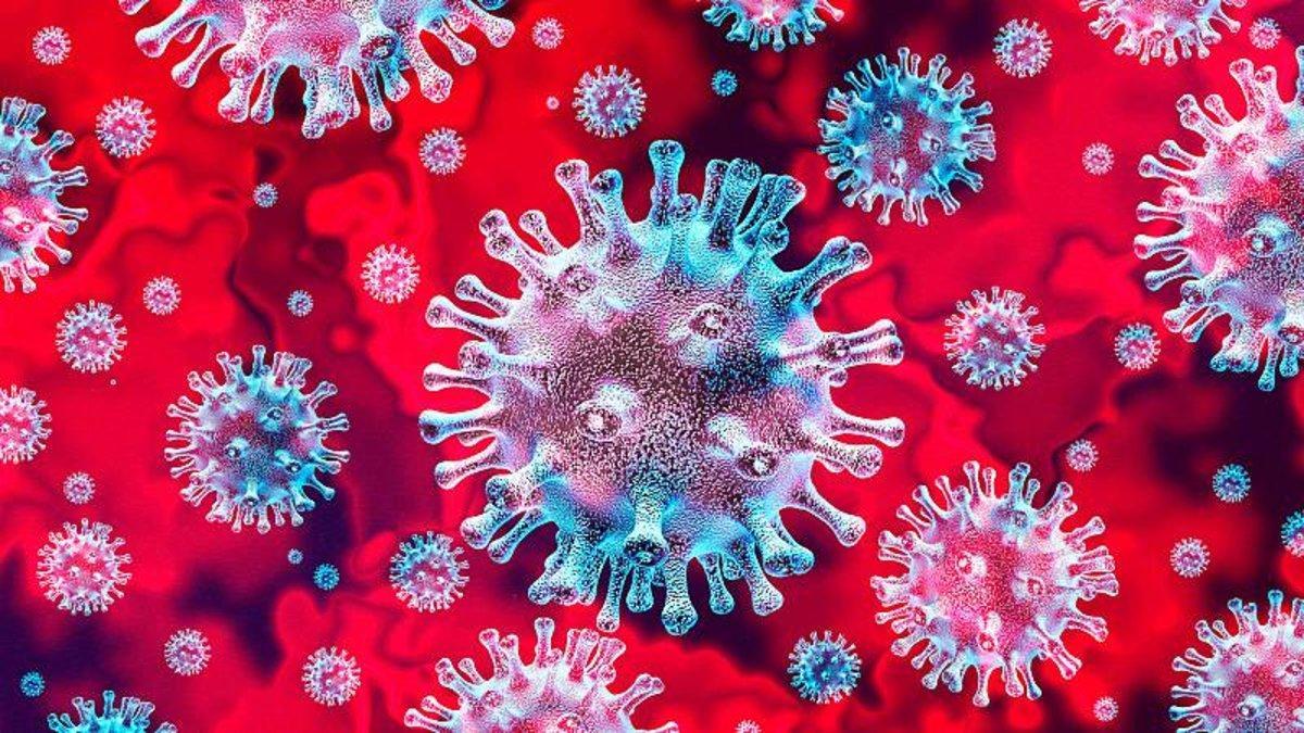Las muertes por coronavirus descienden a casi la mitad en España