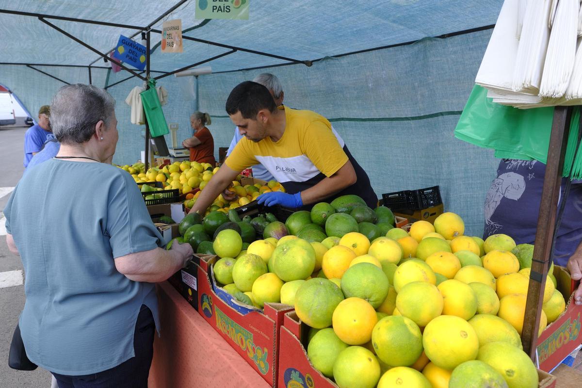 La Fiesta de la Inmaculada en Jinámar
