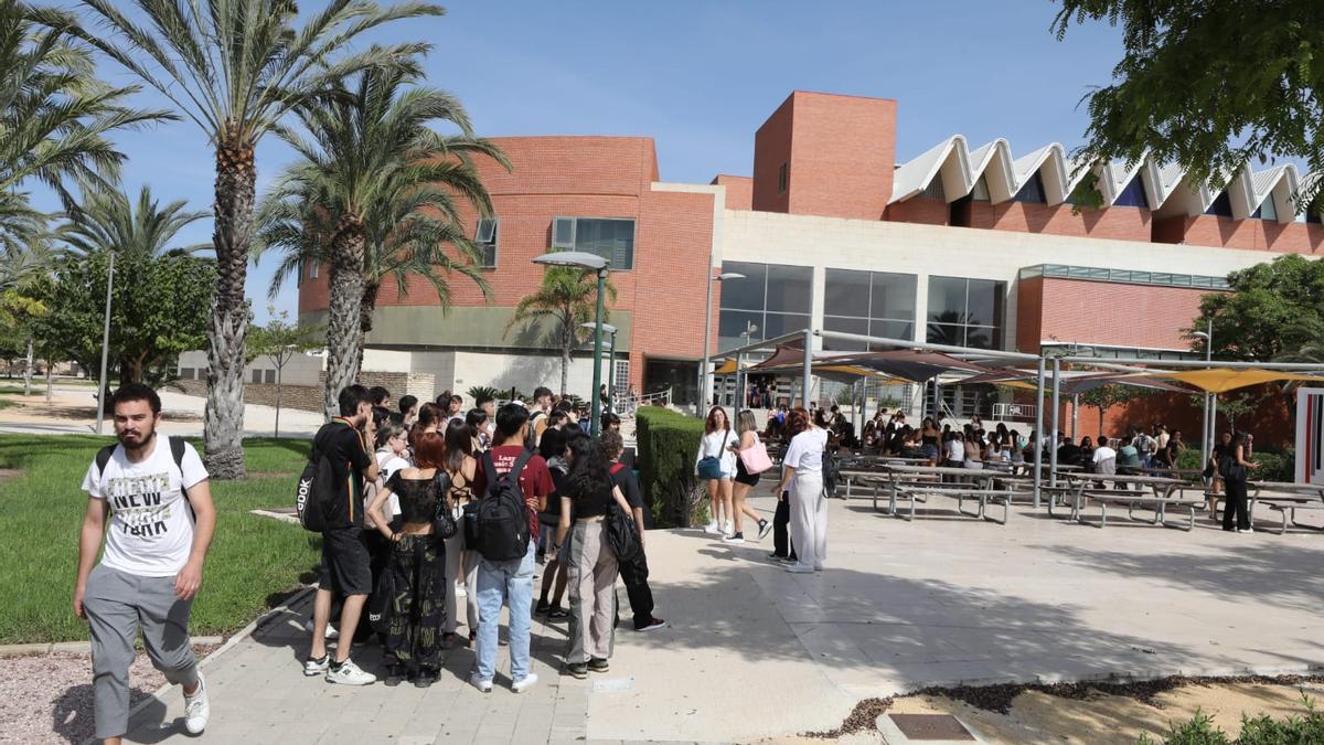 Alumnos este mediodía en el campus de Elche de la Universidad Miguel Hernández.