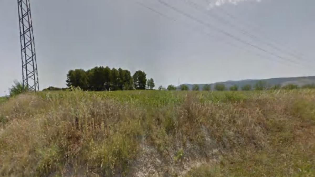Terrenos donde se proyecta la planta solar de Agullent.