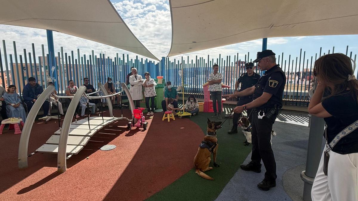 La Policía Local visita con sus perros a los niños ingresados en el Hospital General de Alicante