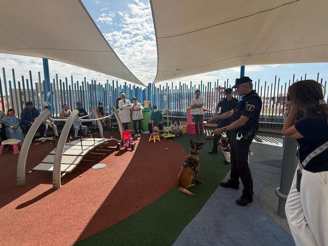 La otra Patrulla Canina: la Policía Local visita con sus perros a los niños ingresados en Alicante