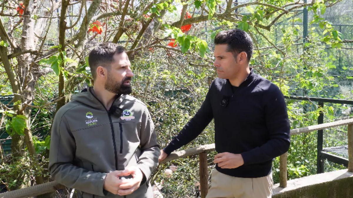 Mariano Mas asegura que el zoológico se enfrenta a una situación de no rentabilidad a pesar de las inversiones realizadas