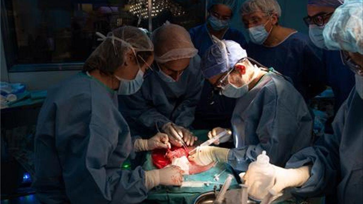 El Clínic de Barcelona hace el primer trasplante de útero de donante viva