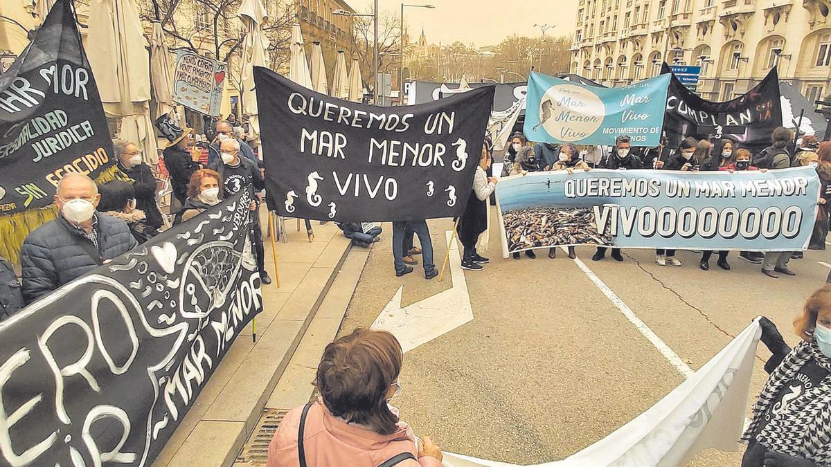 Un centenar de personas apoyan la ILP por el Mar Menor en Madrid