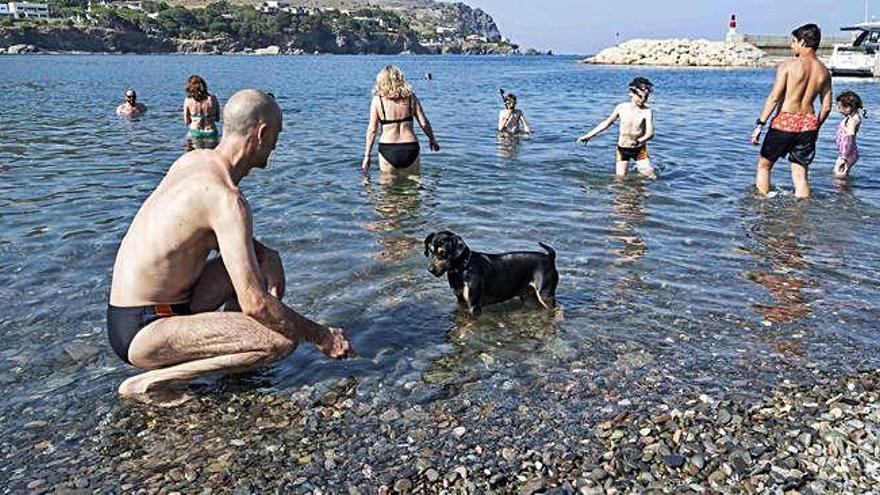 A una part de la platja de les Barques de Colera està permès l&#039;accés amb gossos.