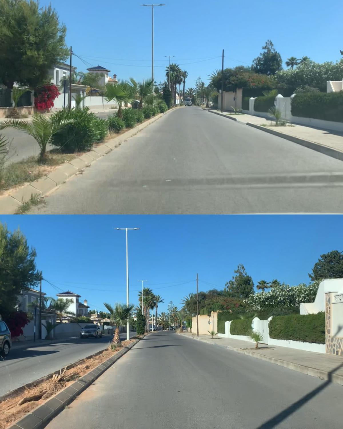 La tala que ha encendido a los vecinos de Cabo Roig en Orihuela Costa