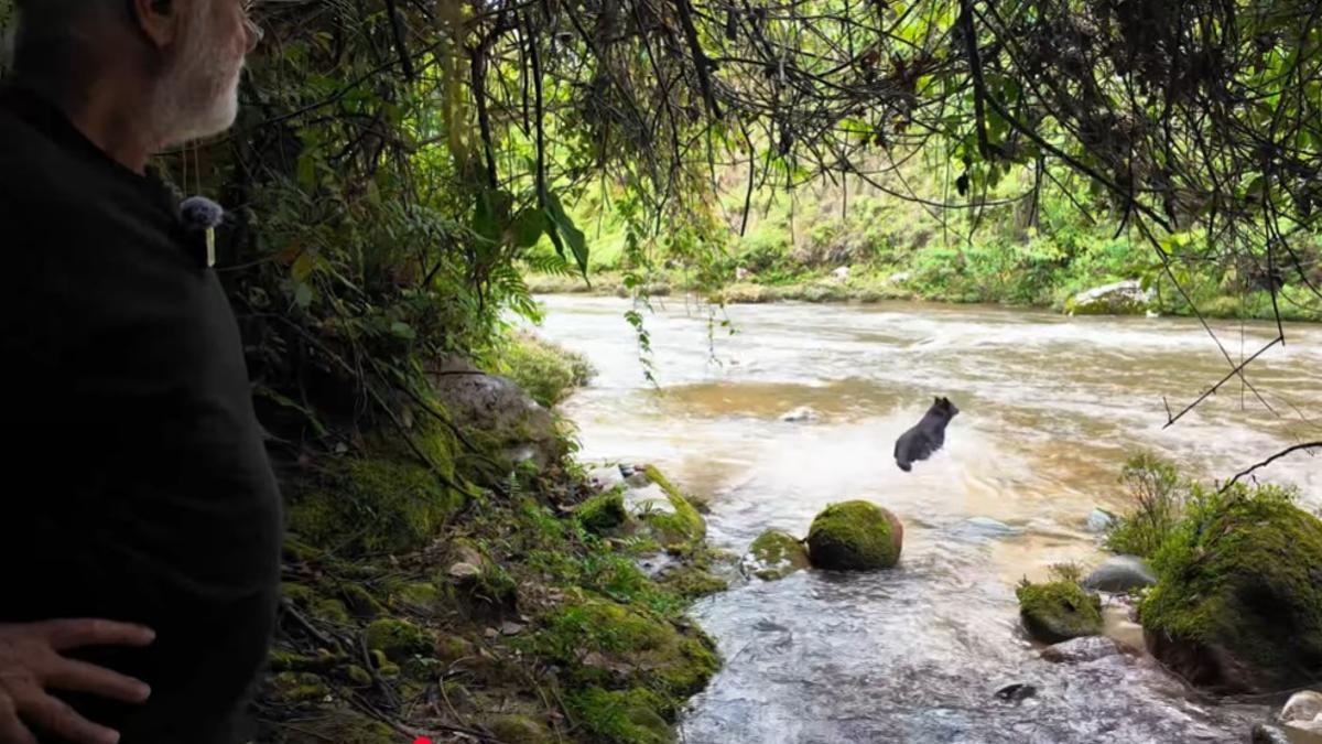 Antonio también explica que vive en un sitio idílico, ya que pasa un río muy cerca.