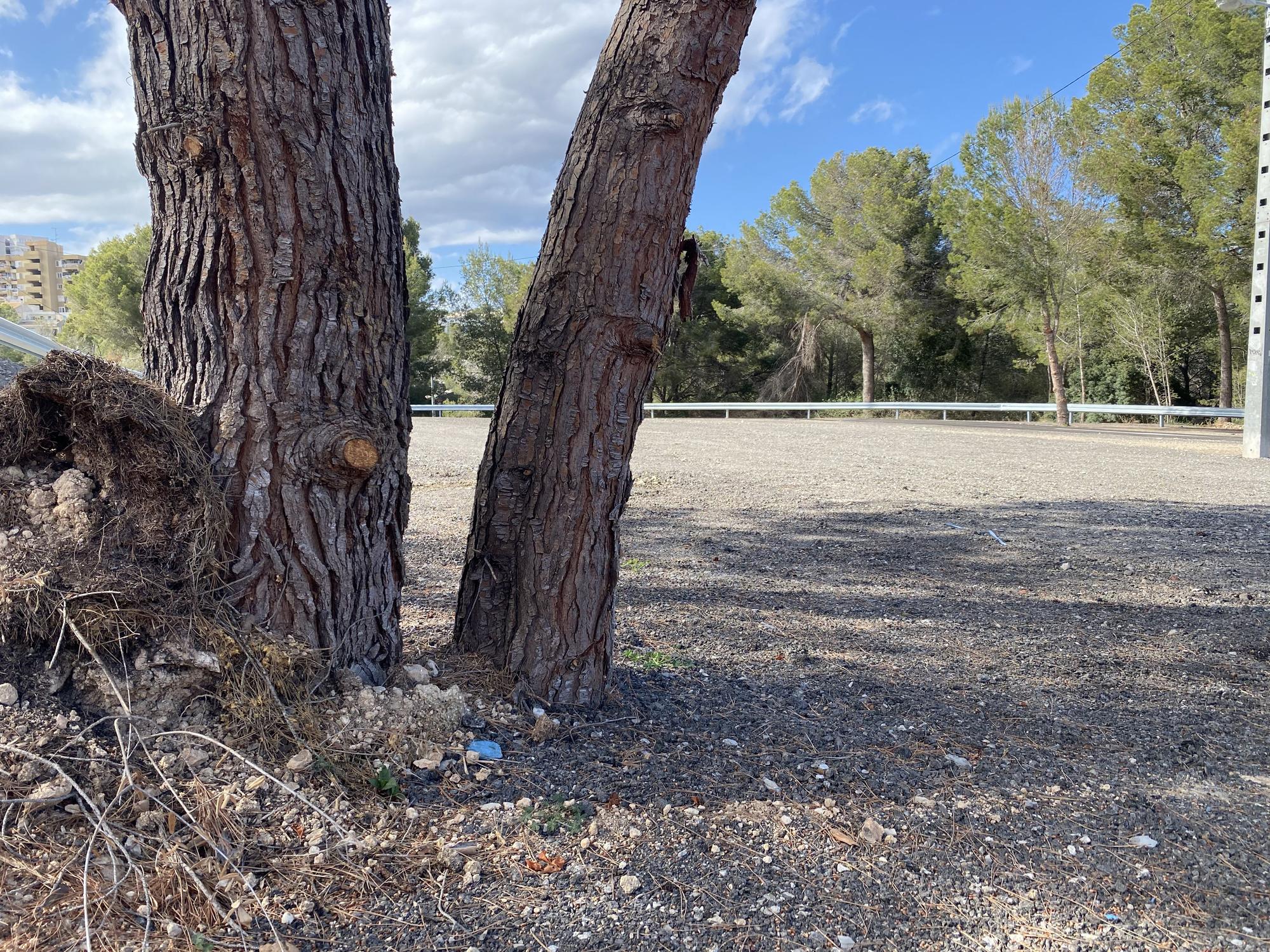 Las fotos del nuevo aparcamiento gratuito de Marivent, el parking público más grande de Palma y el menos utilizado