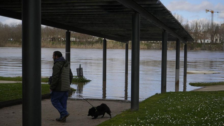 FOTOGALERÍA | Crecida del Duero en Zamora
