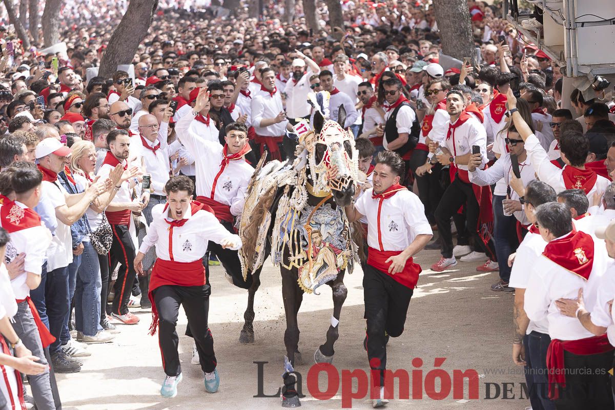 Así se ha vivido la carrera de Los Caballos del Vino en Caravaca
