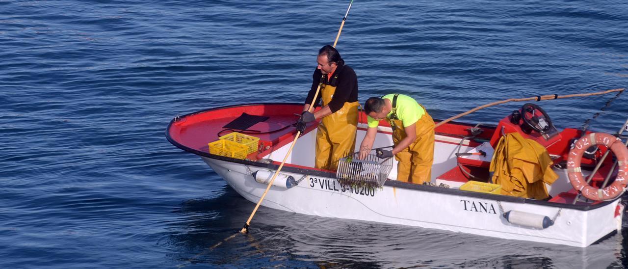 Una de las embarcaciones en la campaña de libre marisqueo iniciada el pasado otoño en Arousa. |   //  NOÉ PARGA