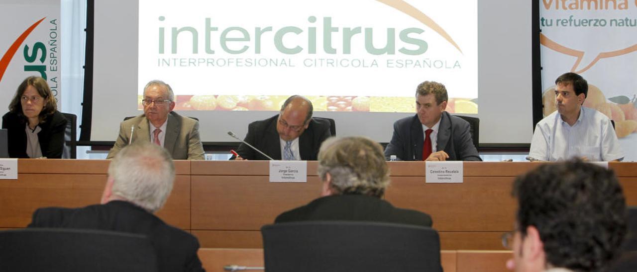 Los citricultores andaluces quieren trasladar la sede de Intercitrus a Sevilla