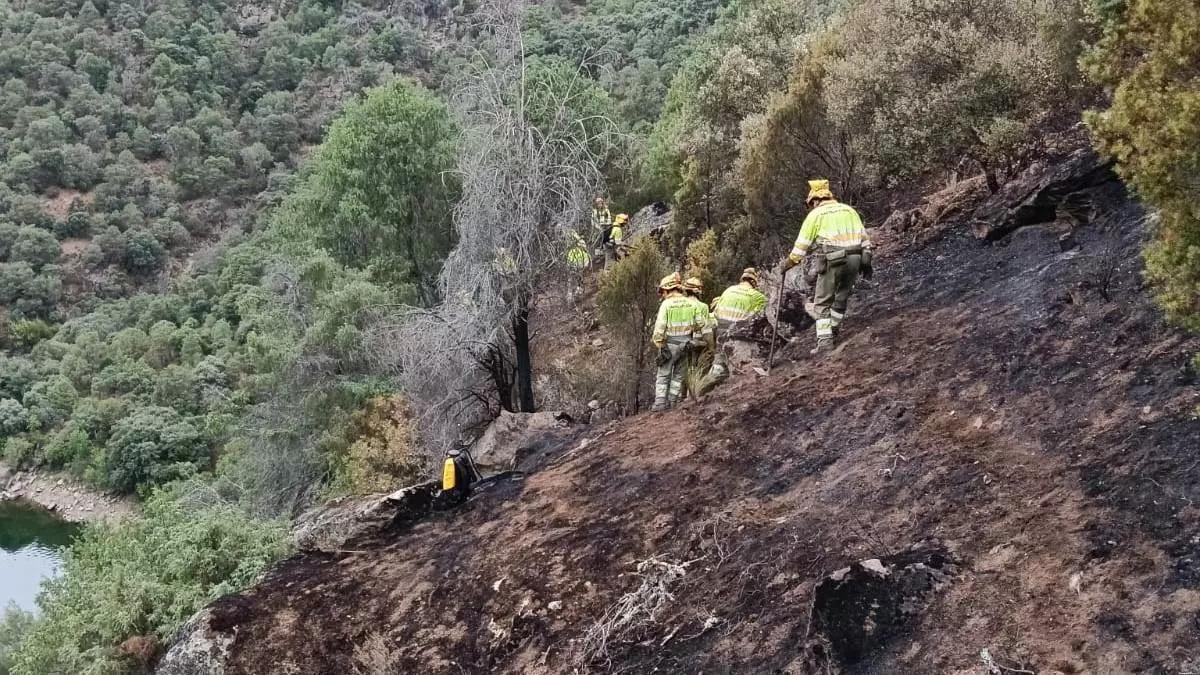 Bomberos forestales en el incendio de Fermoselle.