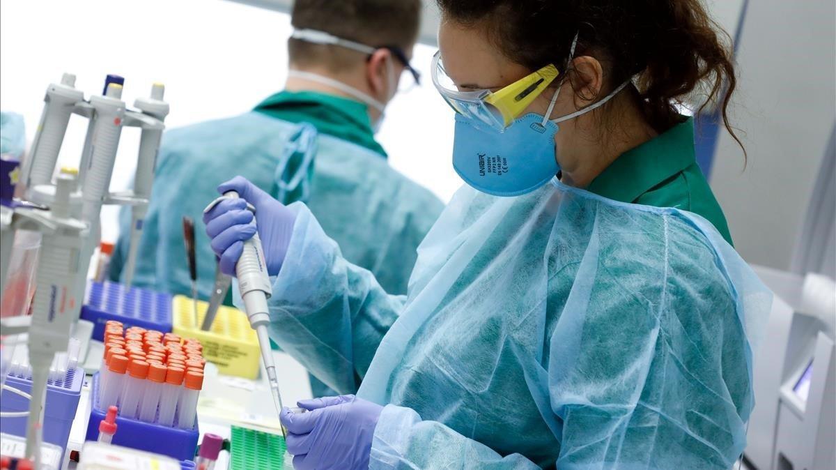zentauroepp52996735 ciencia200402185704 zentauroepp52996735 ciencia200402185704