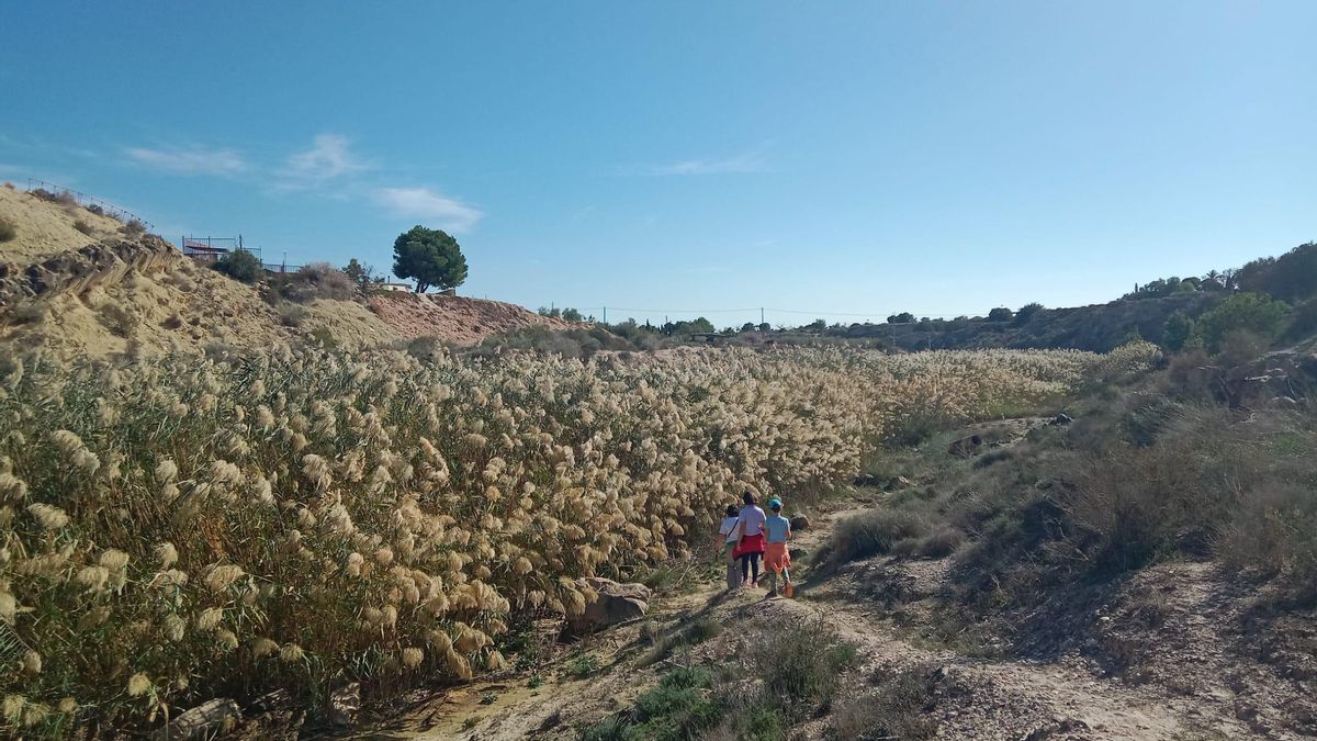 Una familia pasea por uno de los caminos en el río Seco, lleno en el centro de vegetación y cañas