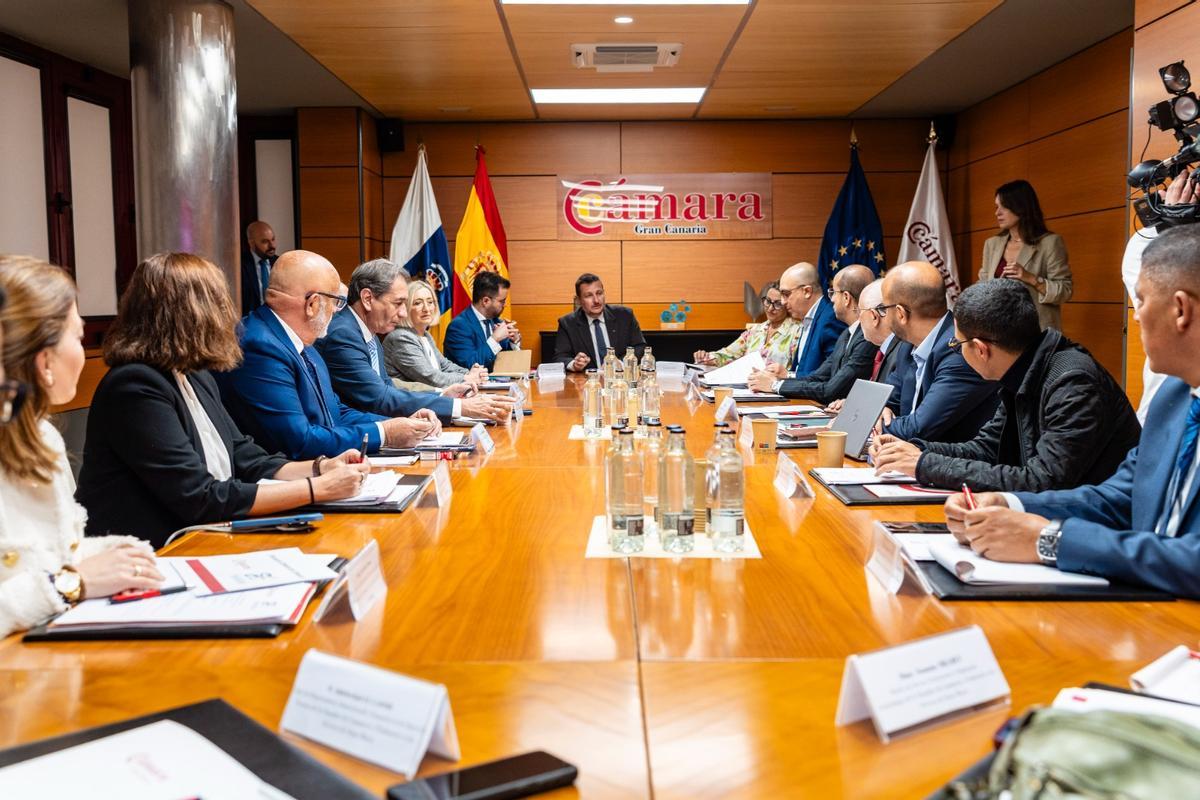 Cámara 1