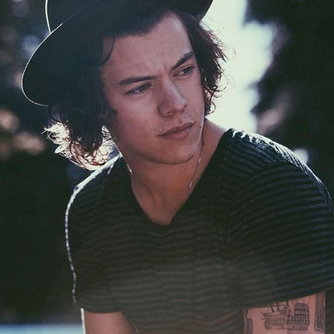 El cantante Harry Styles