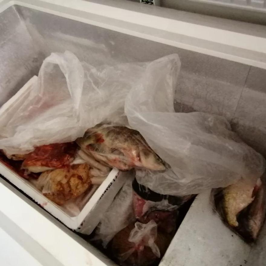 Arcón frigorífico en el que se guardaba el pescado.