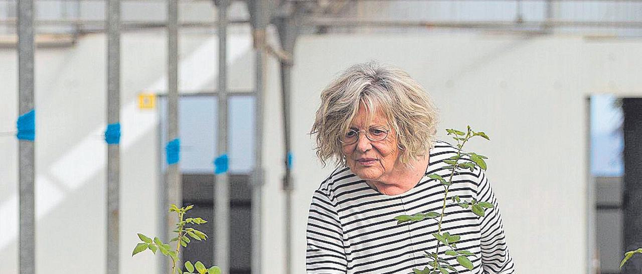 Matilde Ferrer en su vivero de Chiva