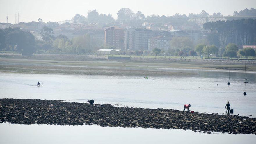 Vista de la ría de O Burgo. / Queiruga/RollerAgencia