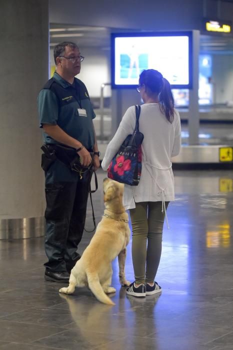 REPORTAJE UNIDAD CANINA AEROPUETO DE GRAN CANARIA