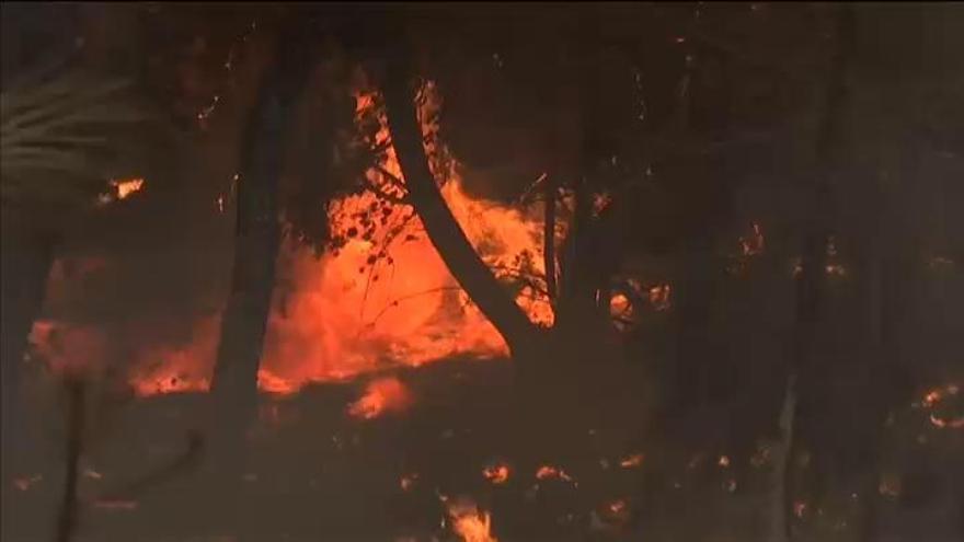 Los incendios continúan arrasando California