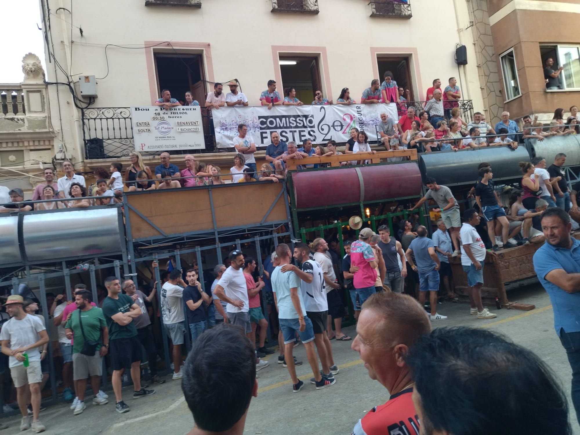 Pasión por los "bous al carrer" en Pedreguer