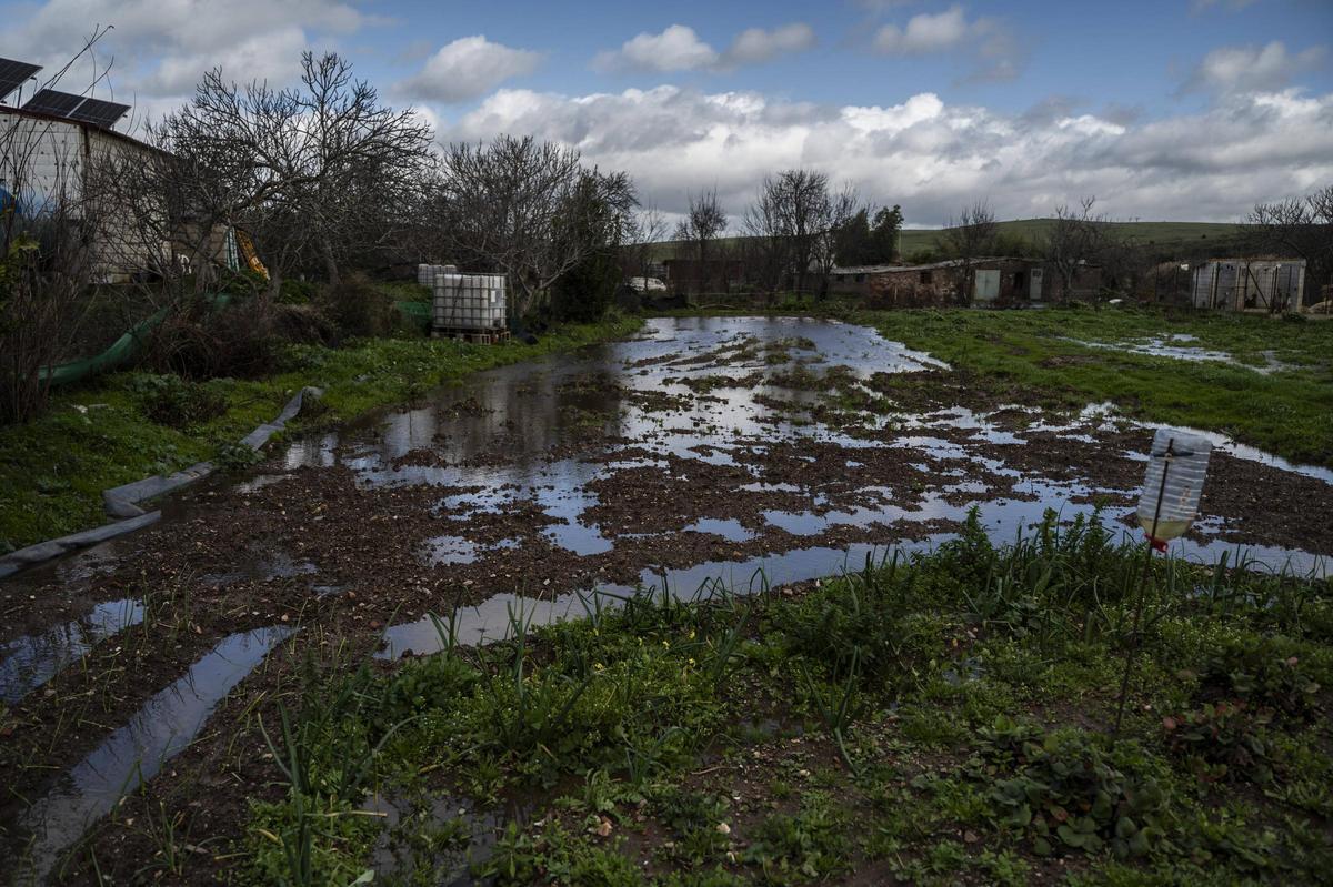 Video | El desembalse del Guadiloba anega los cultivos de los regantes del Marco en Cáceres
