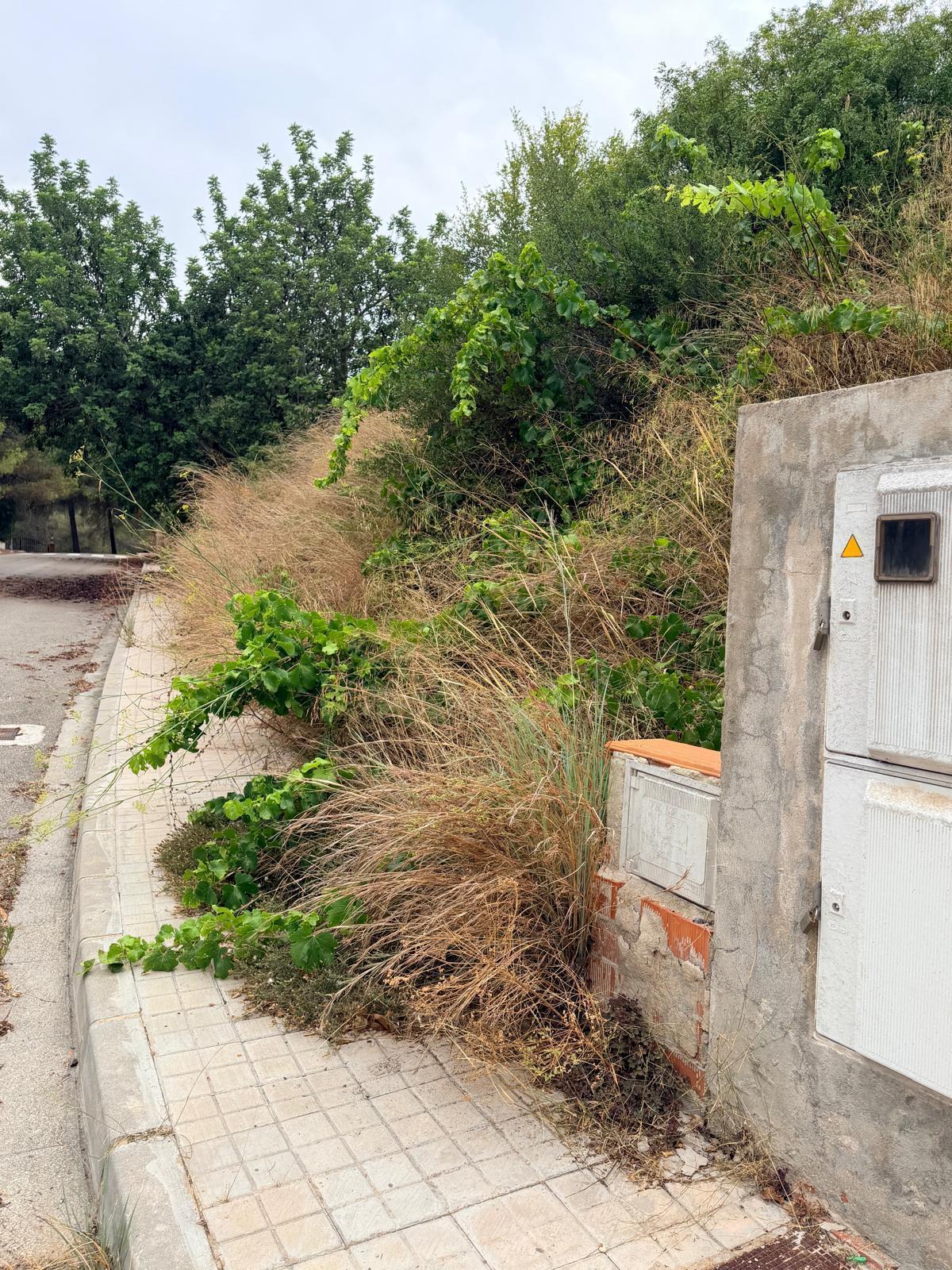 Zona llena de maleza en al urbanización