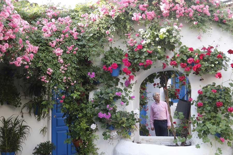 Los patios de Córdoba (1)