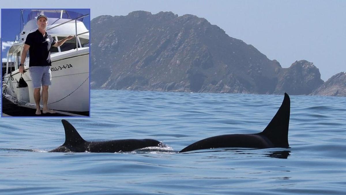 Bruno Díaz, biólogo: «Las orcas chocan con los barcos porque están practicando para pescar atunes sin que se les escapen»