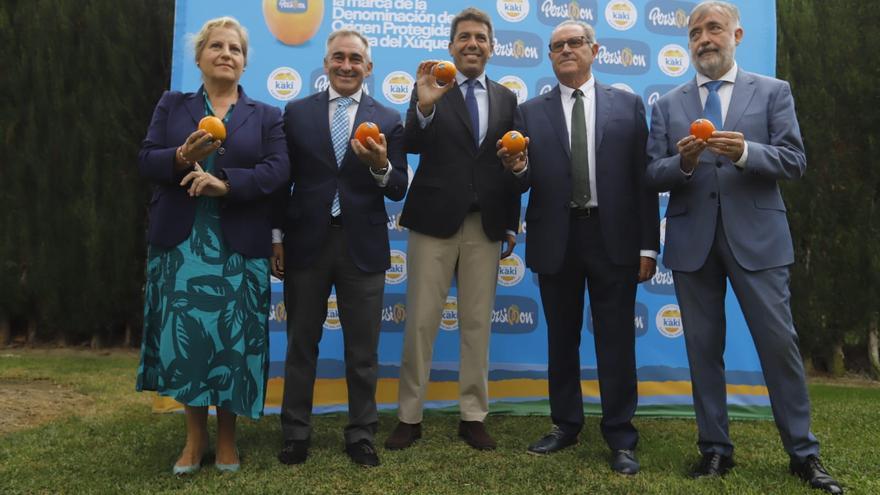 Las plagas lastran la expansión del caqui: &quot;Necesitamos armas para salir del bache&quot;