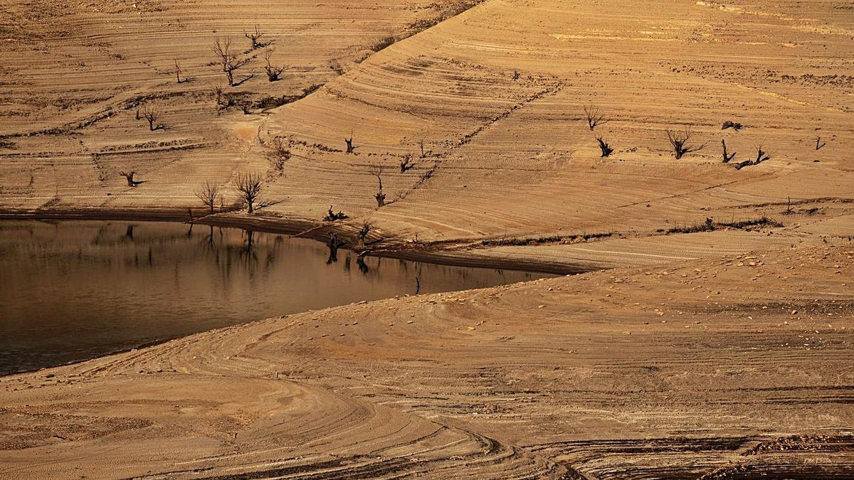 Estado del embalse de Portas, en Vilariño de Conso, el pasado 20 de agosto. |   // BRAIS LORENZO