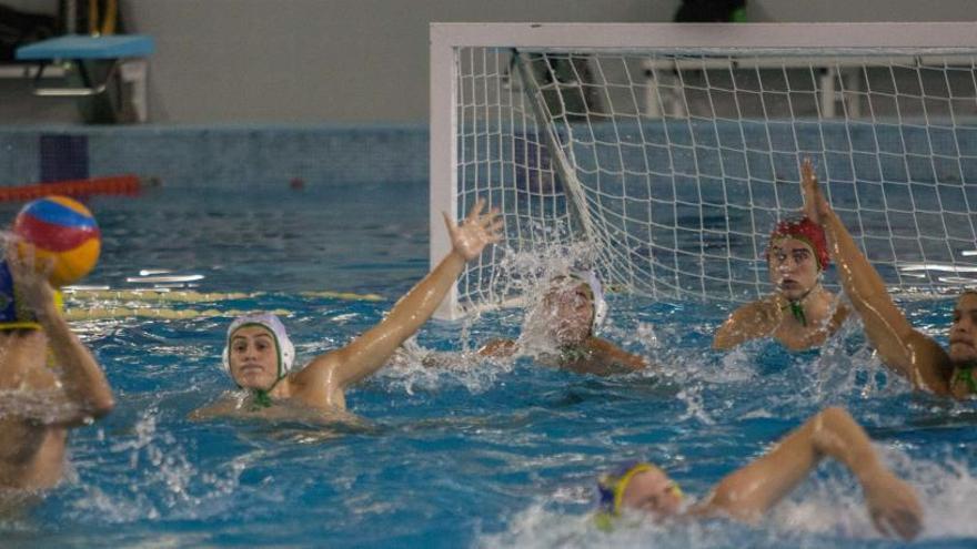 Imagen de un partido del Club Waterpolo Elx senior masculino