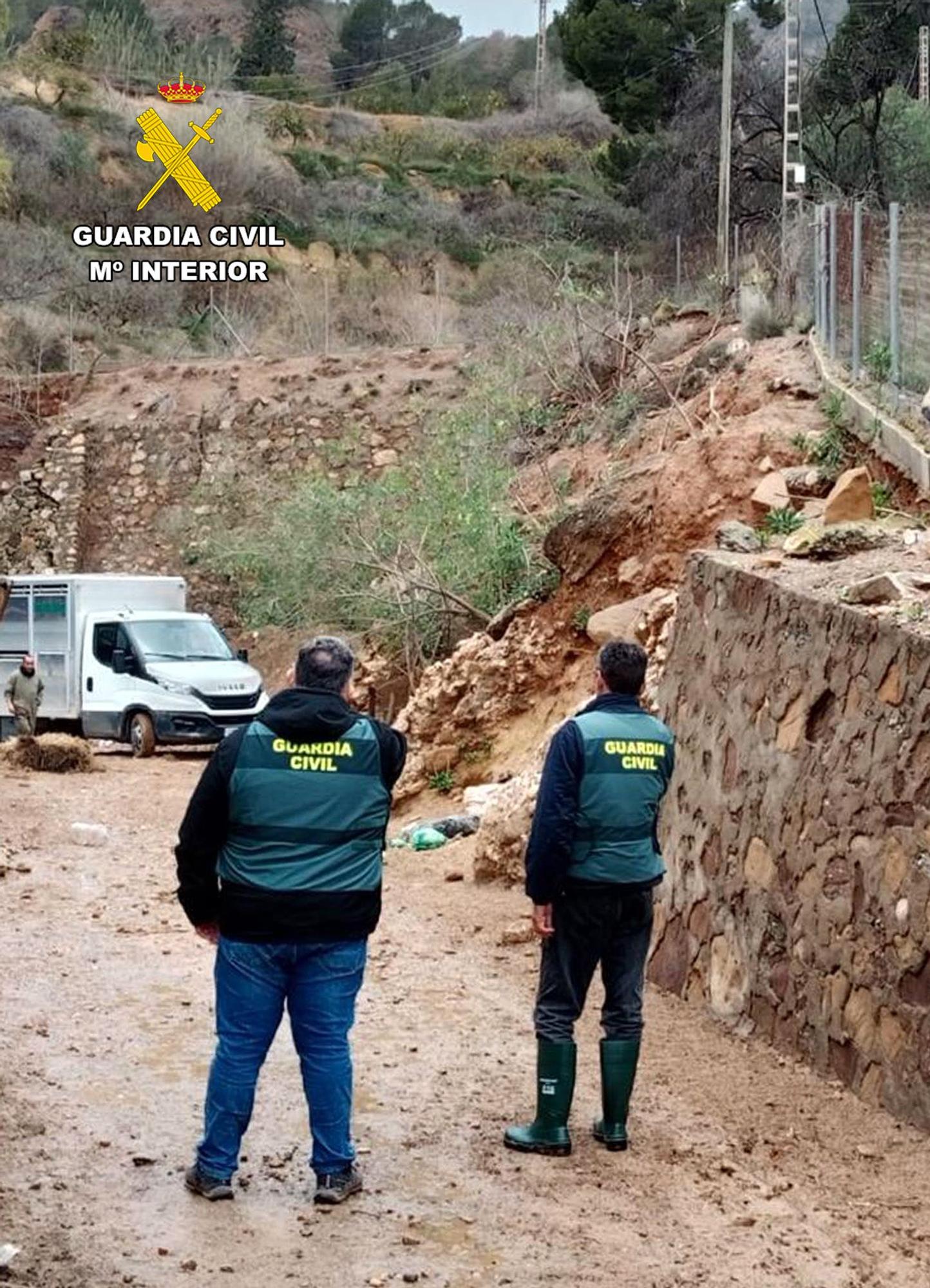 Operación de la Guardia Civil contra el robo de ganado ovino en el Campo de Cartagena
