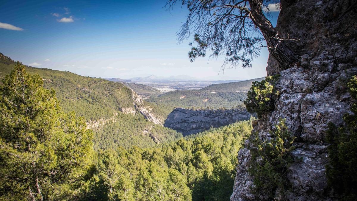 Panorámica del barranco de Hondares en la sierra de Moratalla.