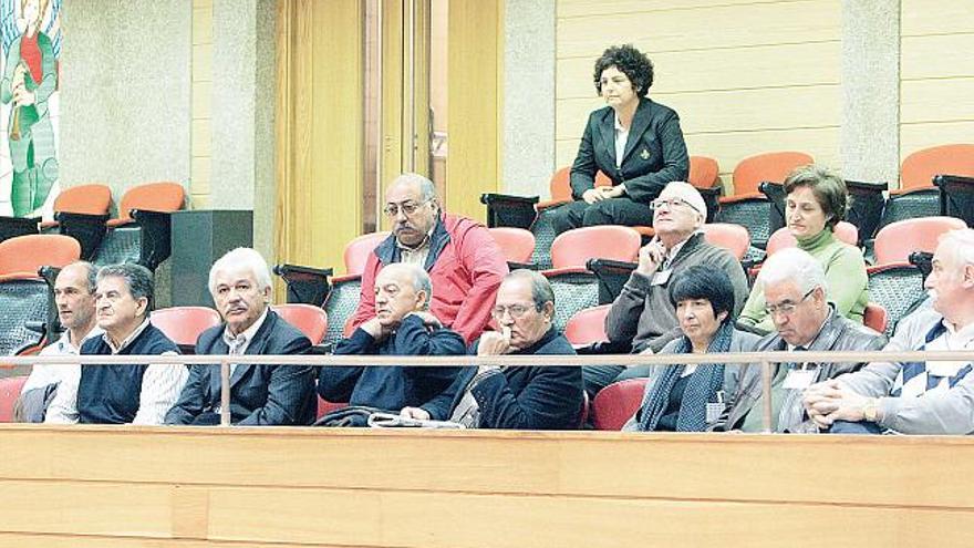 La asociación de afectados de Moaña acudió al Parlamento de Galicia hace dos semanas.