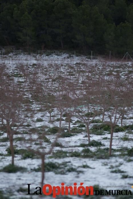 Nieva en Inazares