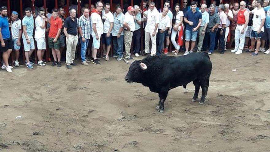 Los Sanjuanes de Coria llegan al ecuador con las peñas como protagonistas