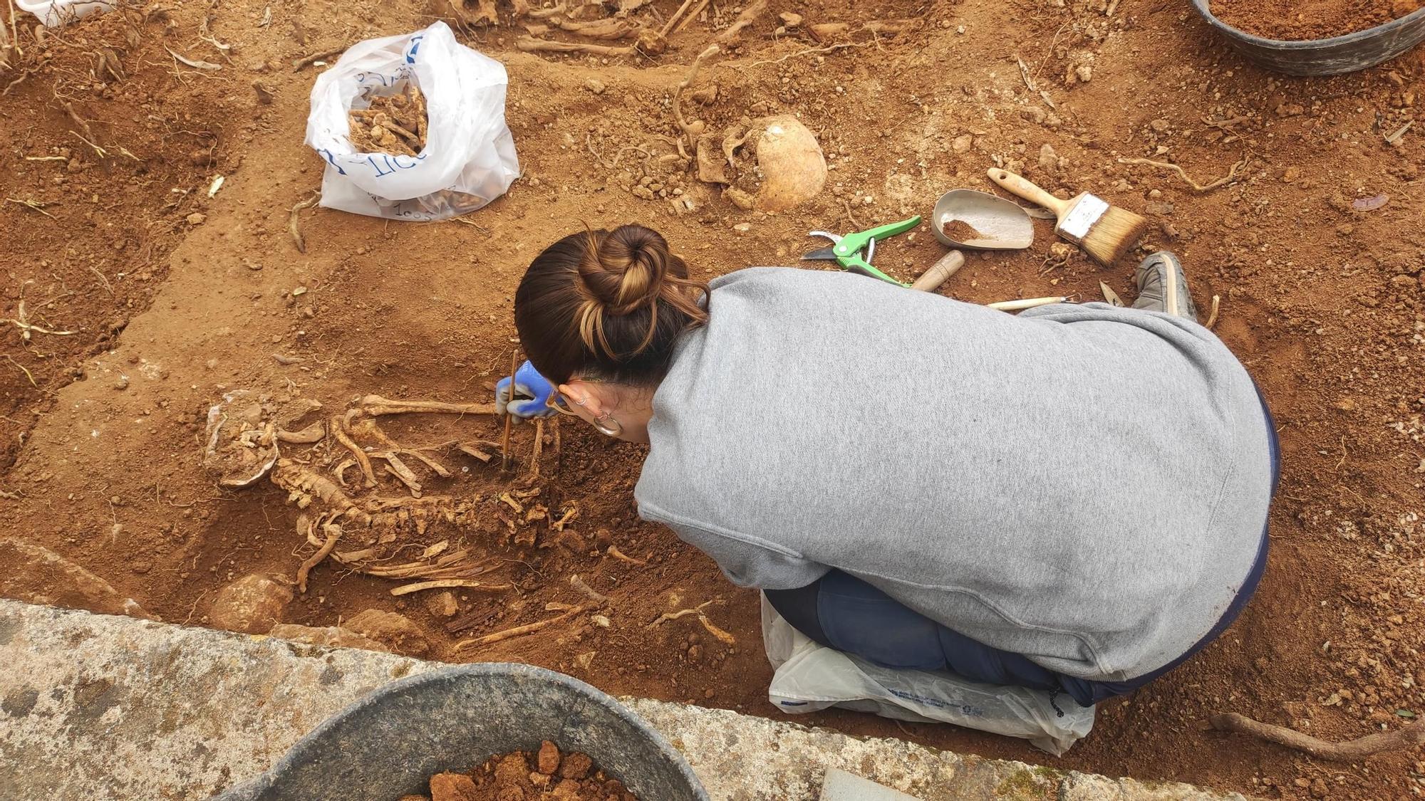 Fotos | Las excavaciones en la fosa de Son Carrió, en imágenes