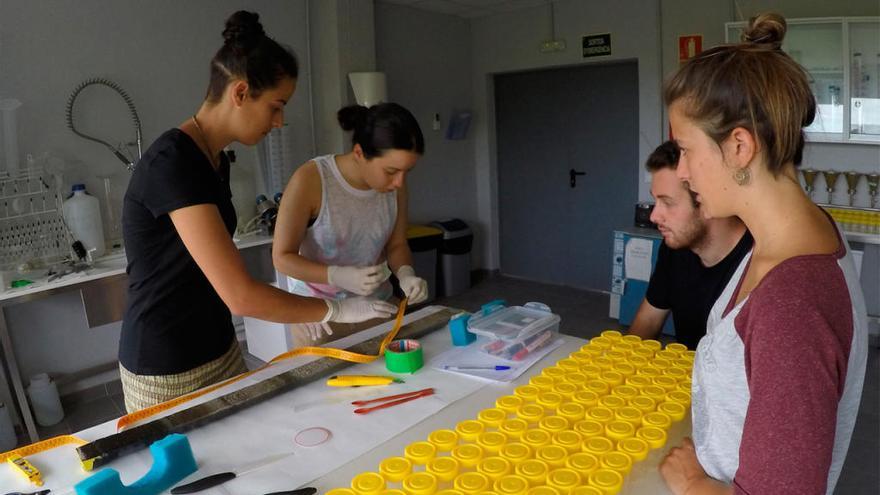 Investigadores del CEAB trabajan en el laboratorio con uno de los sedimentos extraídos en Cíes.