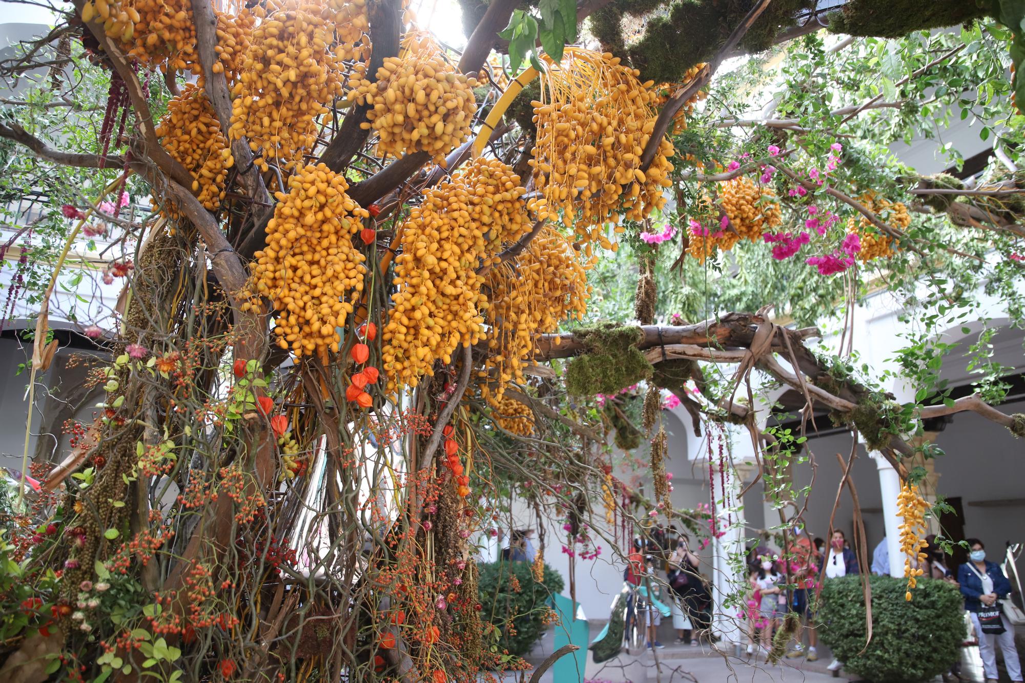 Los patios de otoño y Flora animan el fin de semana en Córdoba