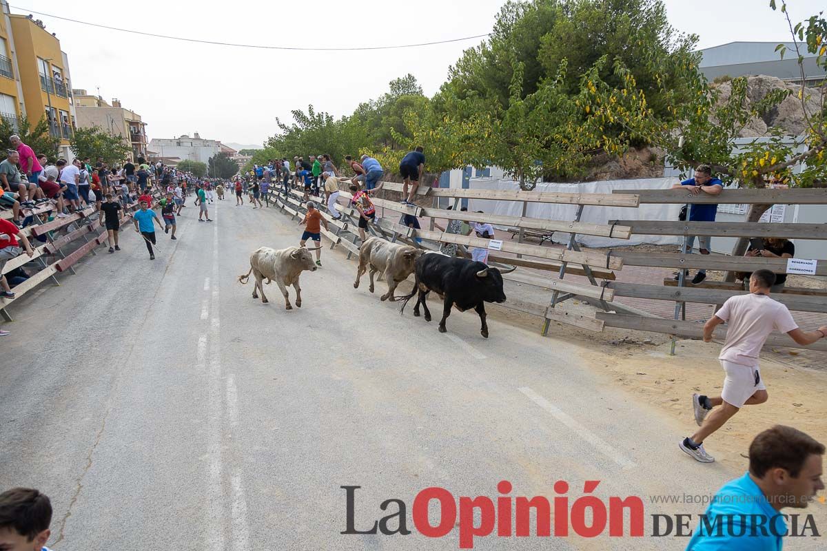 Segundo encierro de la Feria Taurina del Arroz en Calasparra