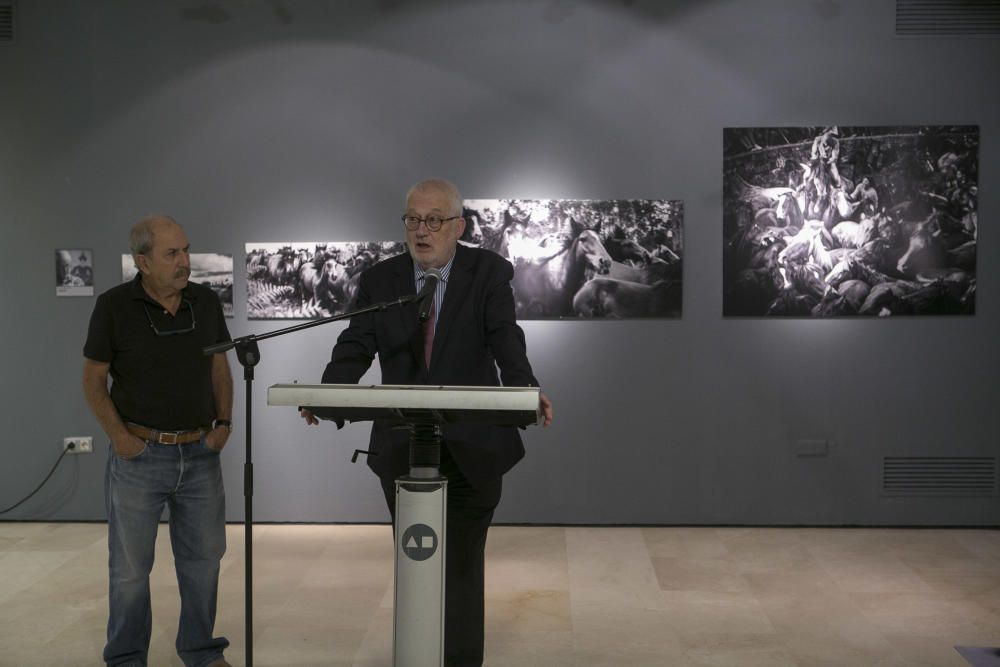 Imágenes de la exposición fotográfica En Plural en la Fundación Caja Mediterráneo