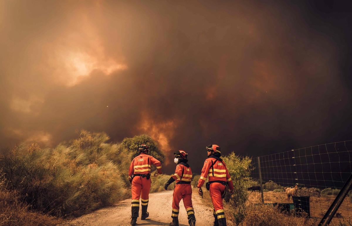 Personal de la UME luchando contra un incendio forestal cerca de Navas del Rey, a 55 kilómetros al suroeste de Madrid. La foto fue publicada el 26 de julio de 2026 y tomada el 24 de julio de 2026 por la Unidad de Emergencias Militares de España (UME).
