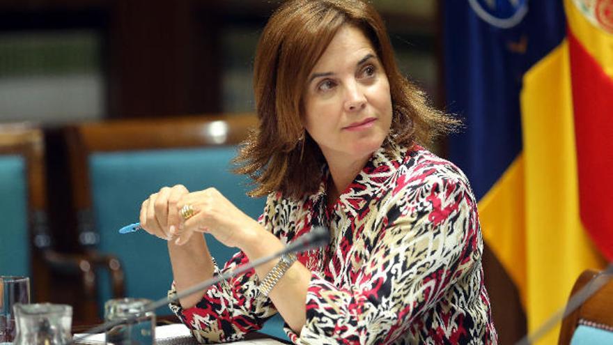 La consejera de Sanidad del Gobierno de Canarias, Teresa Cruz Oval, ayer durante su comparecencia.