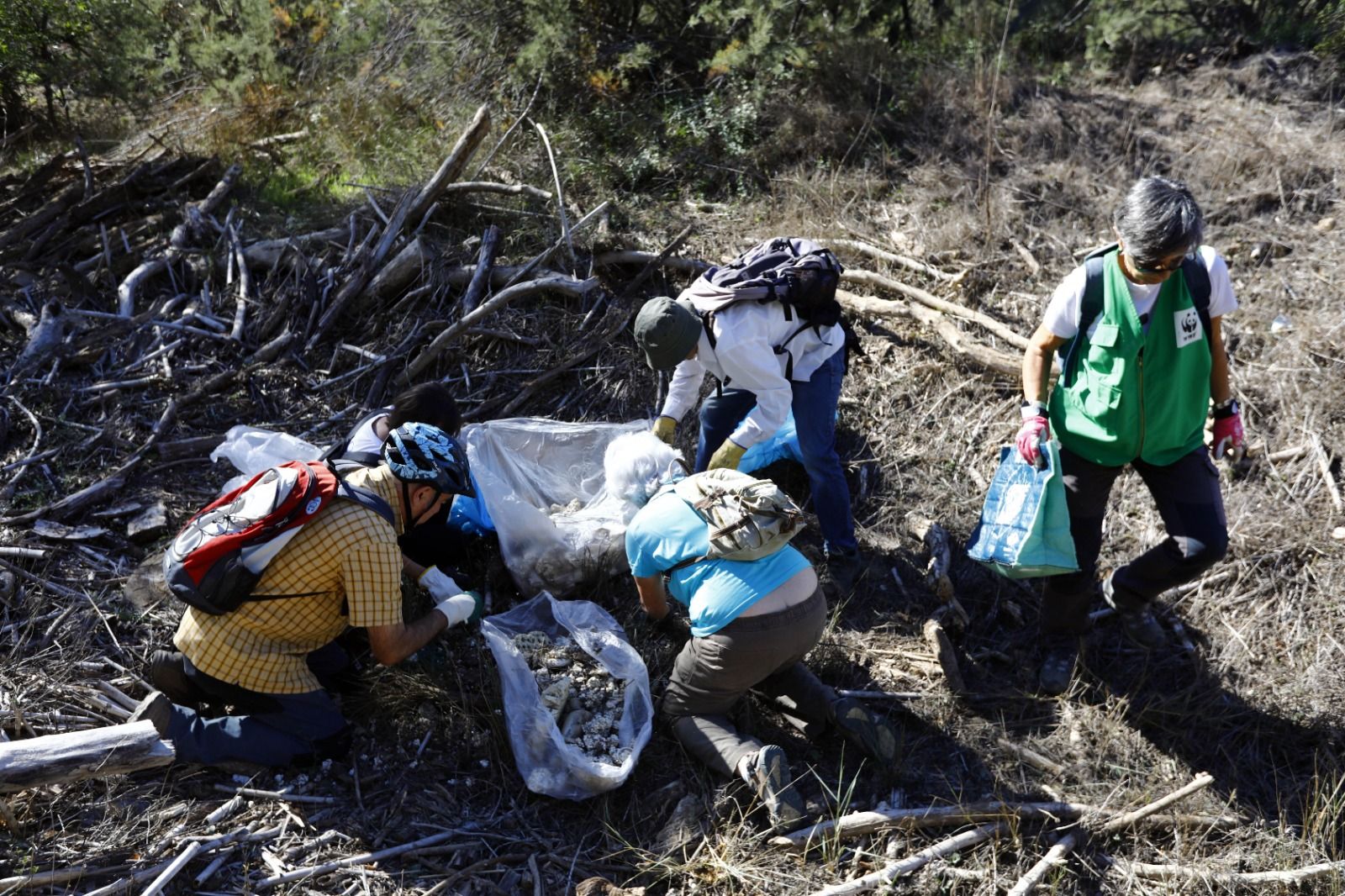 En imágenes | Medio centenar de zaragozanos limpian el soto del Francés