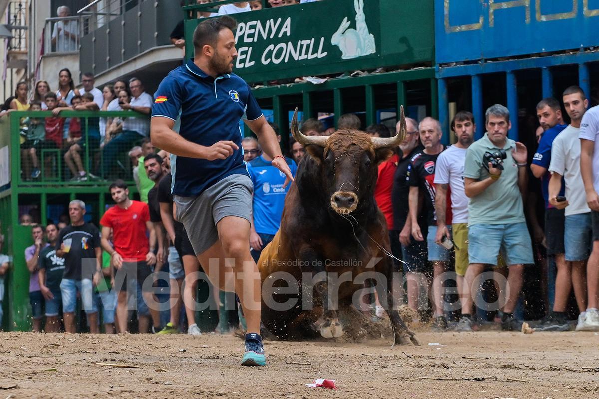 Bous a l'Alcora 2025